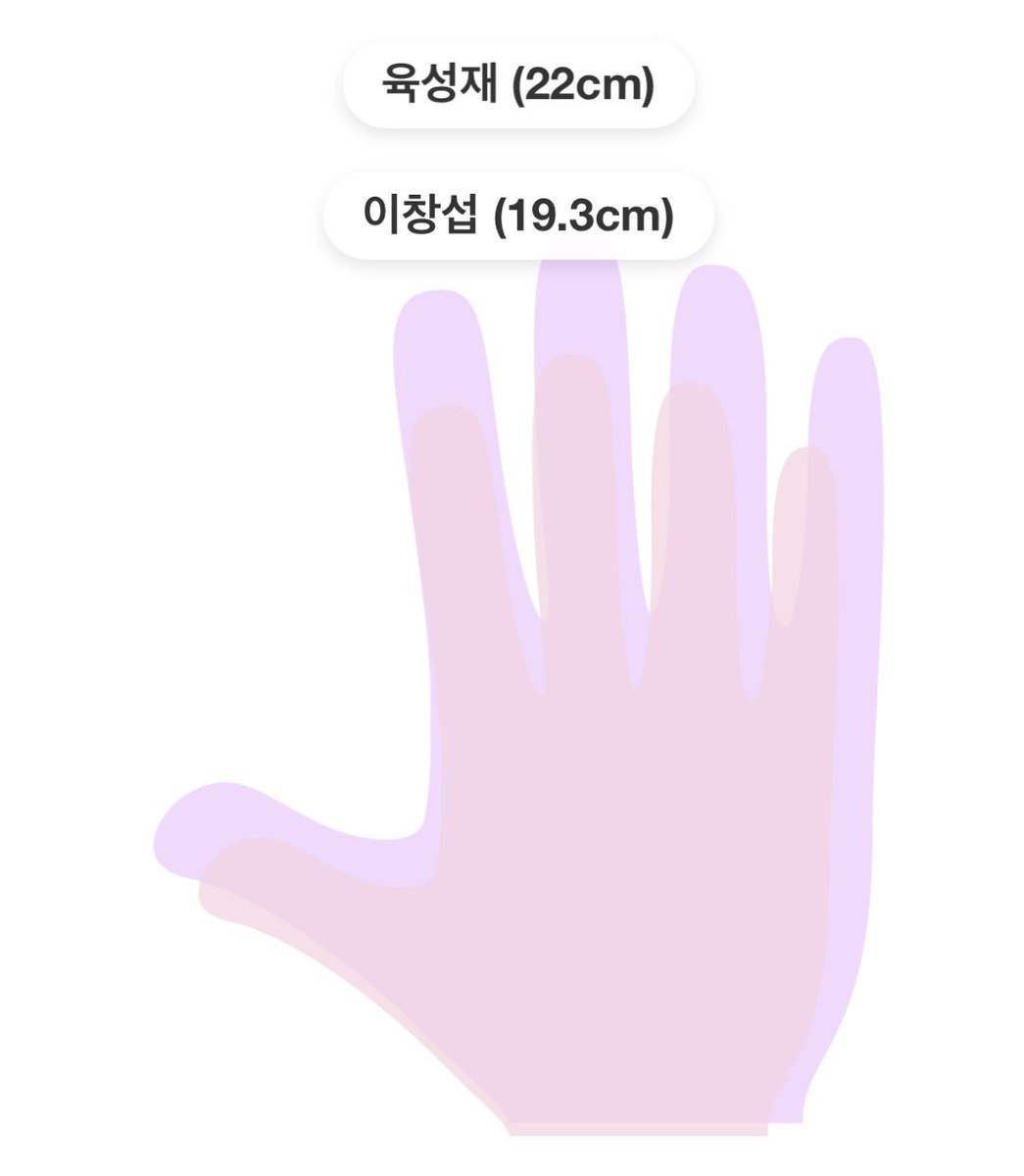 육섭 손크기 차이