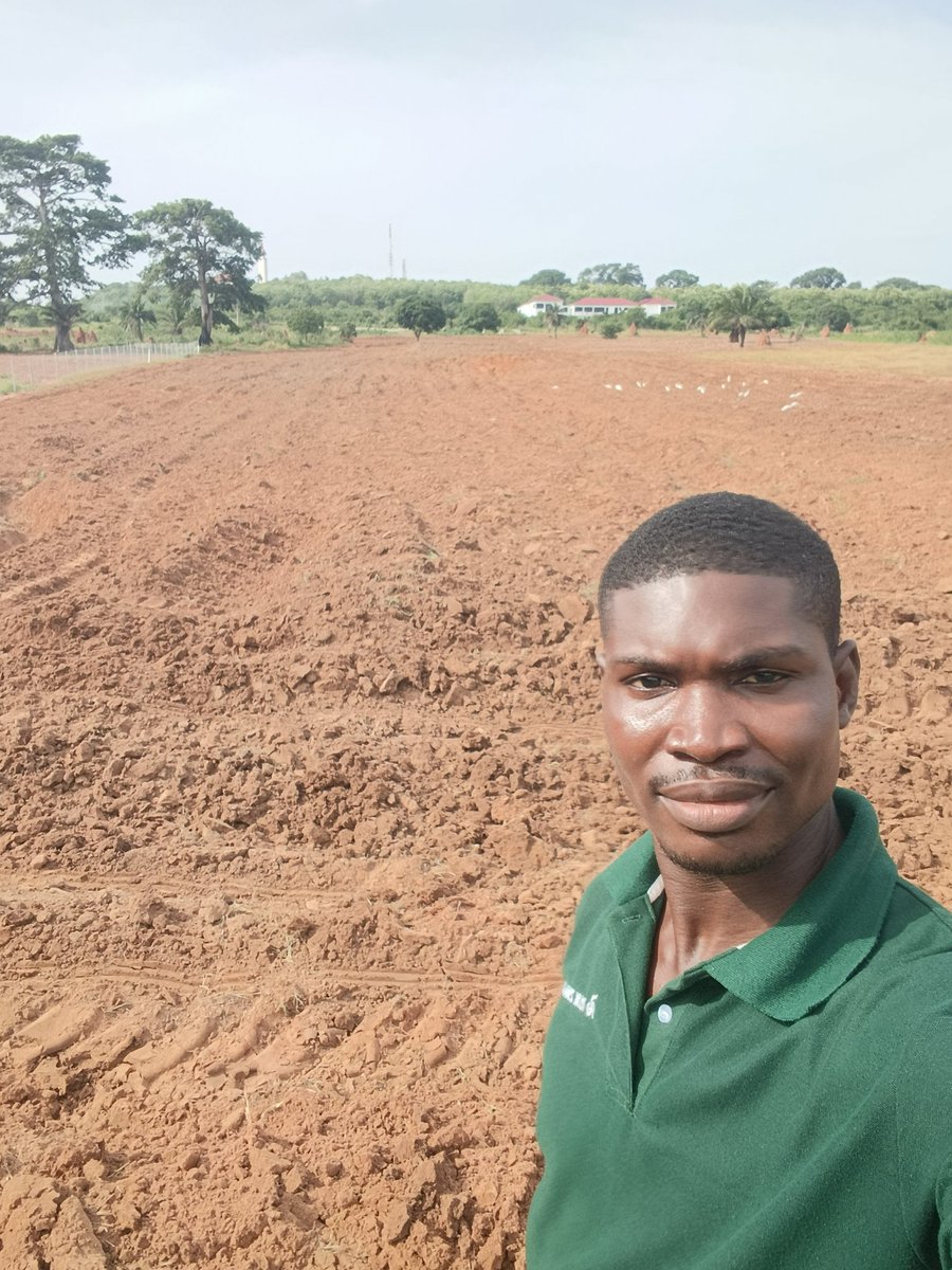 Defarmercist Alex Afari 🇬🇭 tweet media