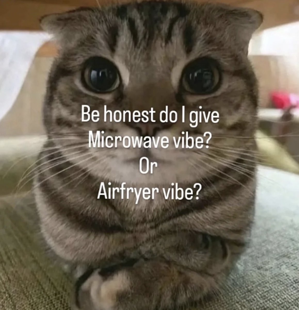 Respectful Memes tweet media