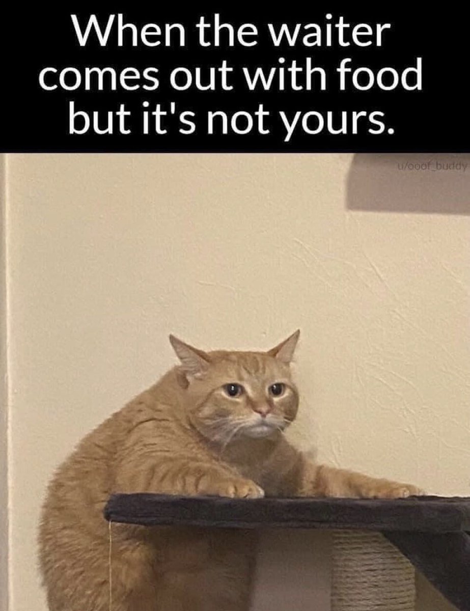 Respectful Memes tweet media