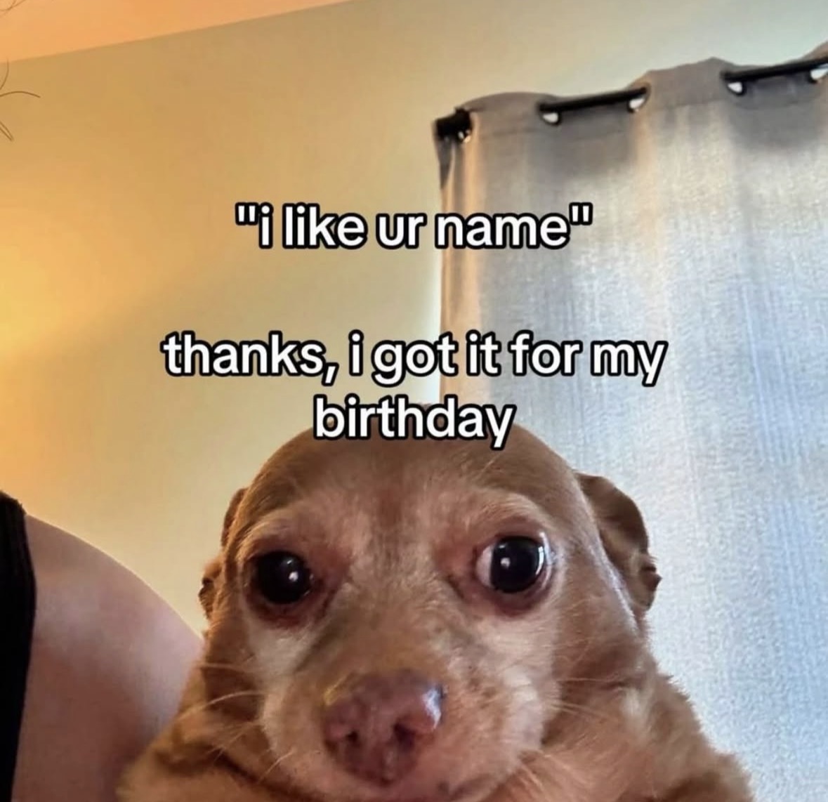 RespectfulMemes's tweet photo. https://t.co/MKHxd0AxBv