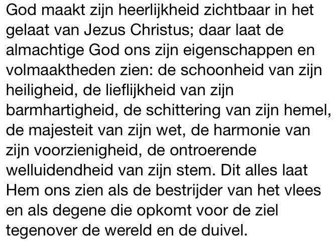 ‘Wie Mij ziet, ziet de Vader.’ John Henry Newman: