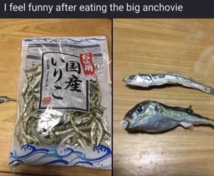 evil apples tweet media