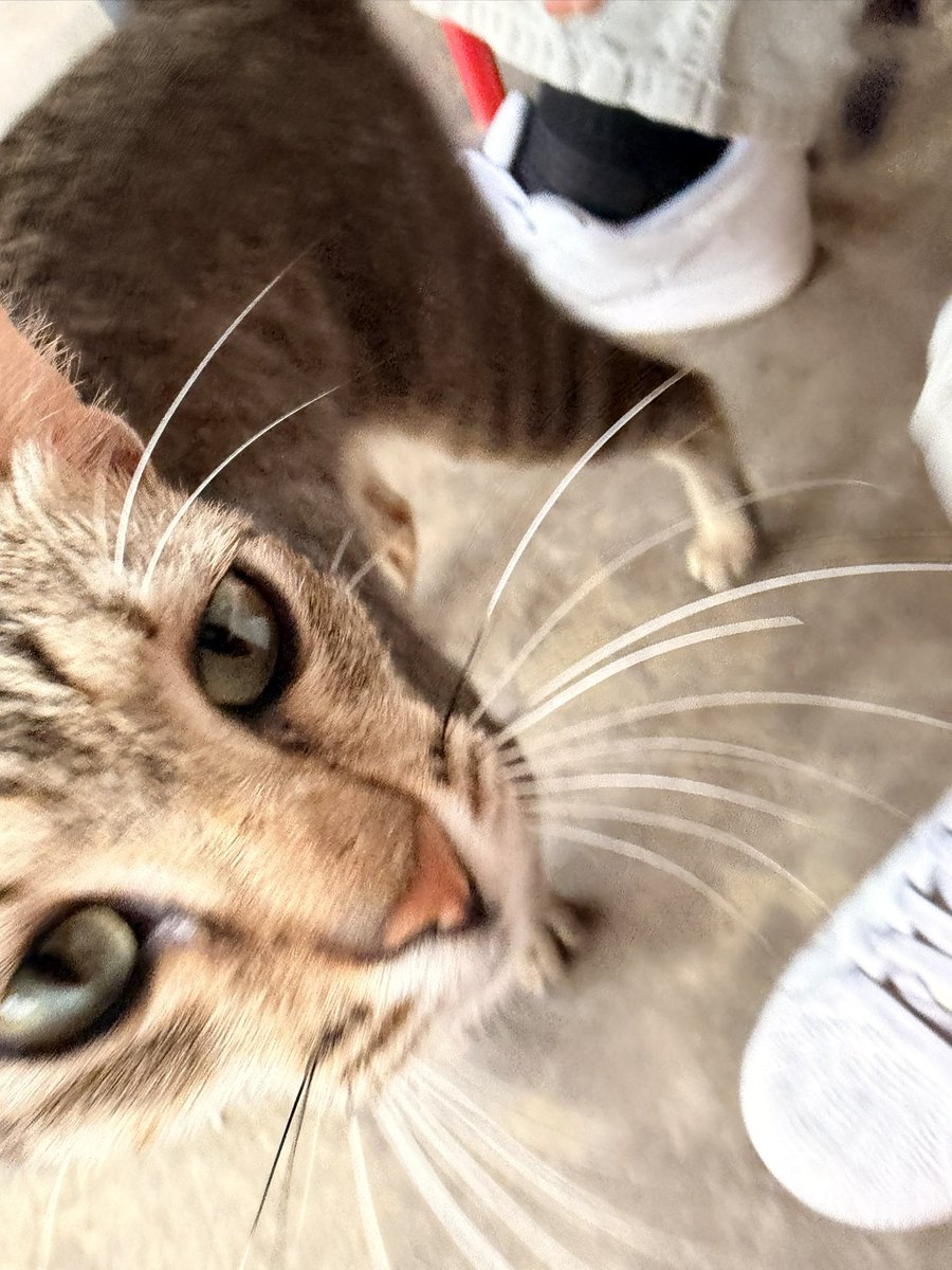 アレックス/Alex🦖 tweet media