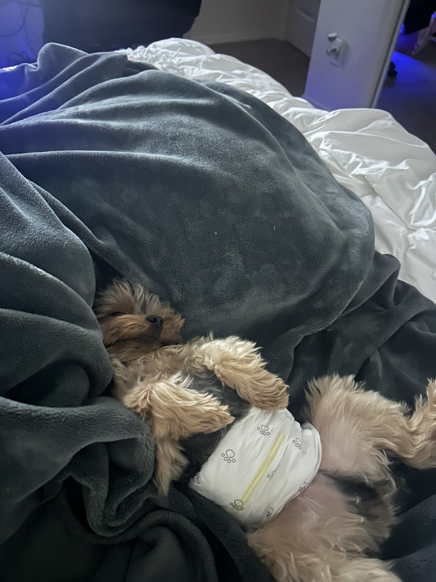 pasta thots🇵🇸 tweet media