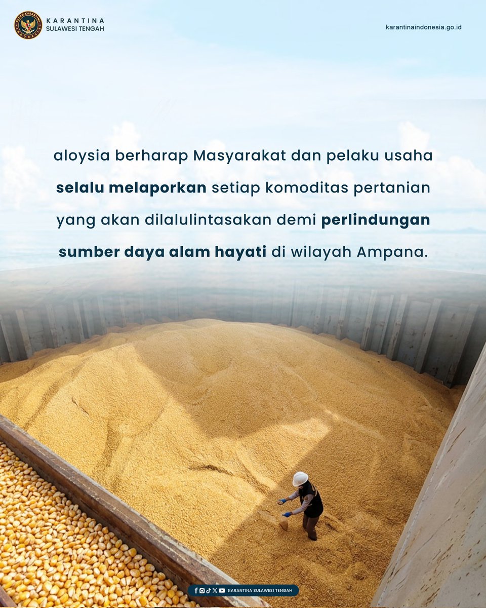 Pengiriman Produk Jagung Ampana Mulai Mencuat

Ampana (5/3), Pejabat karantina tumbuhan Ampana
kembali melakukan pengawasan ketat
terhadap komoditas jagung yang akan diberangkatkan
menuju cirebon dan semarang sebanyak 6.100 Ton