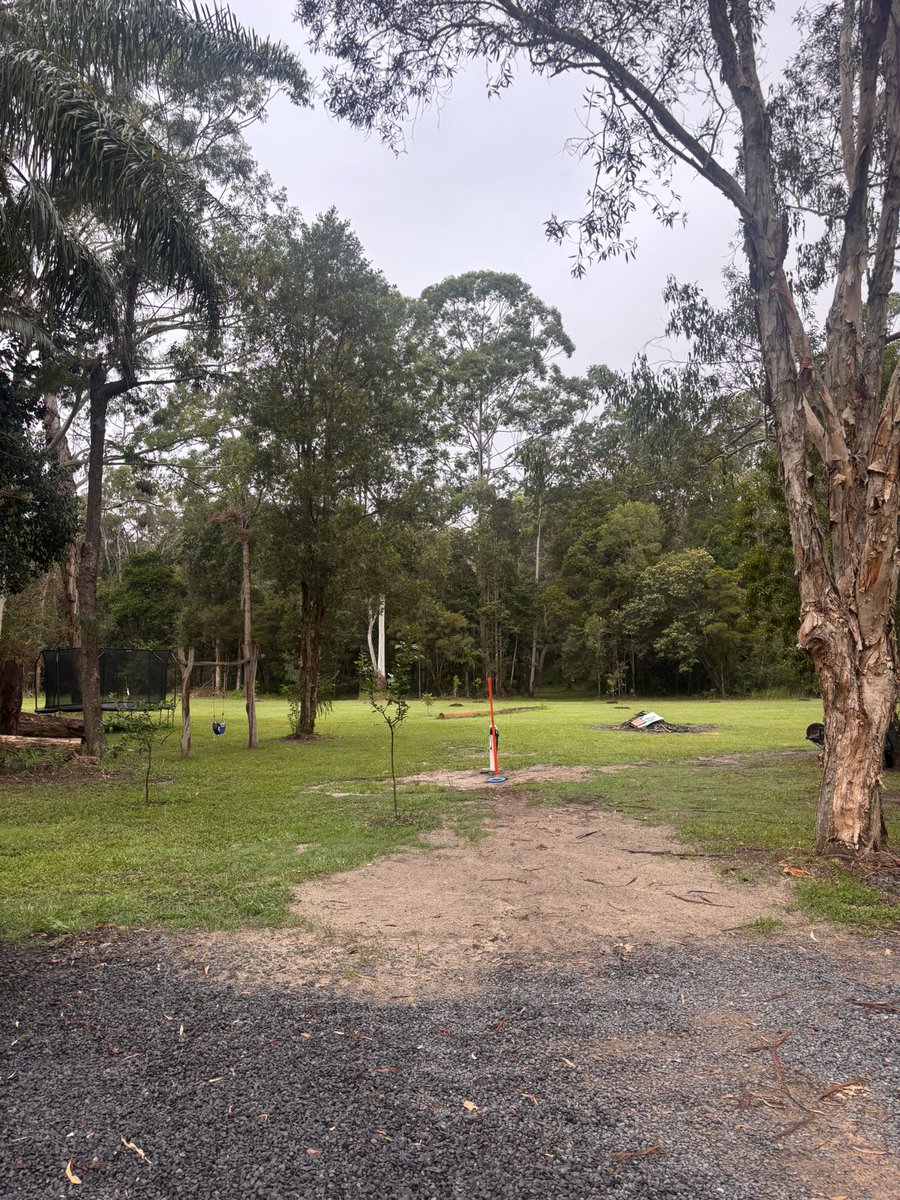 David Simon tweet media