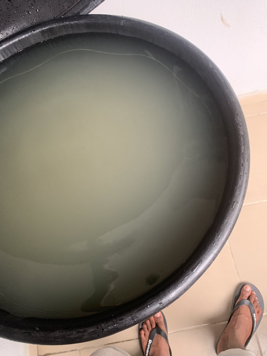 Hįş Ęminencė 👑 tweet media