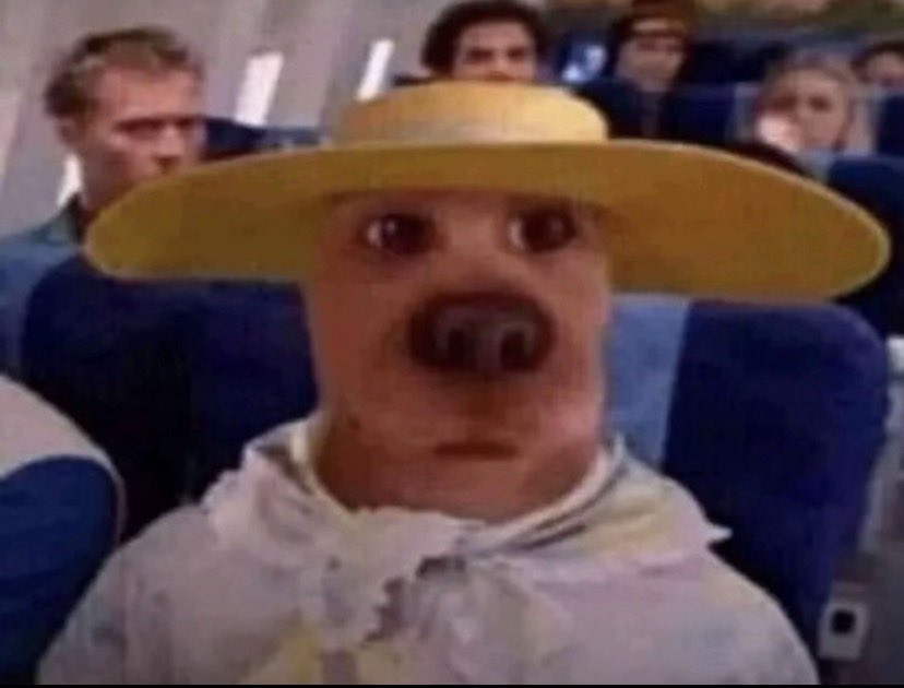 ☀️ PRAISE THE SUN ☀️ tweet media