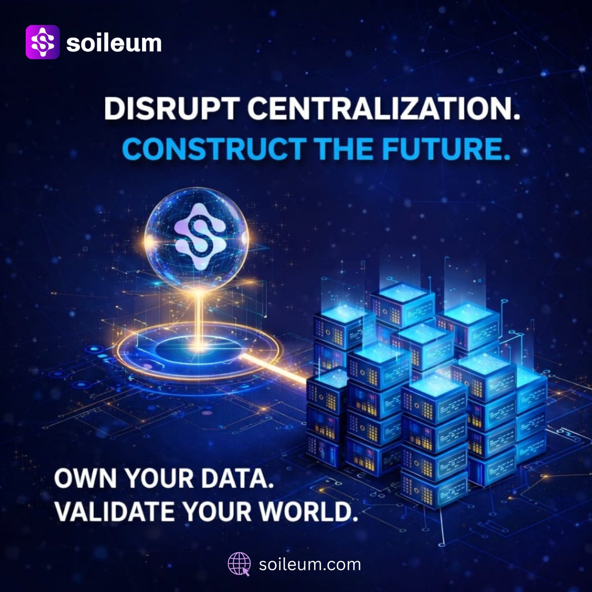Soileum Network tweet media