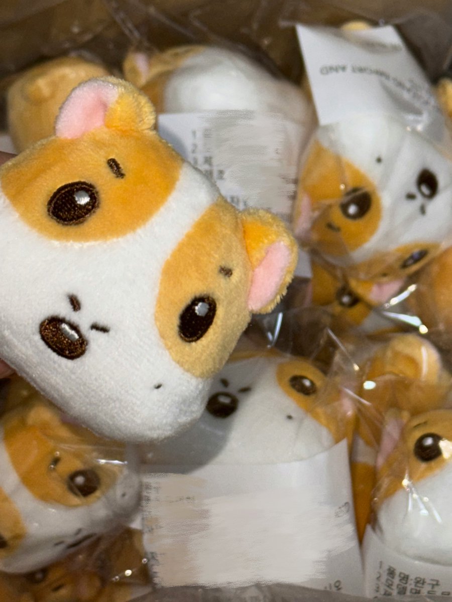 춘기닝 tweet media