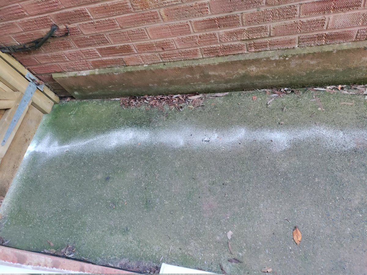 DizzieDee tweet media