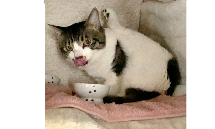 NPSTOCC's tweet photo. 😂😂😂😂😂😂😂😂 https://t.co/bMOlkix6y6