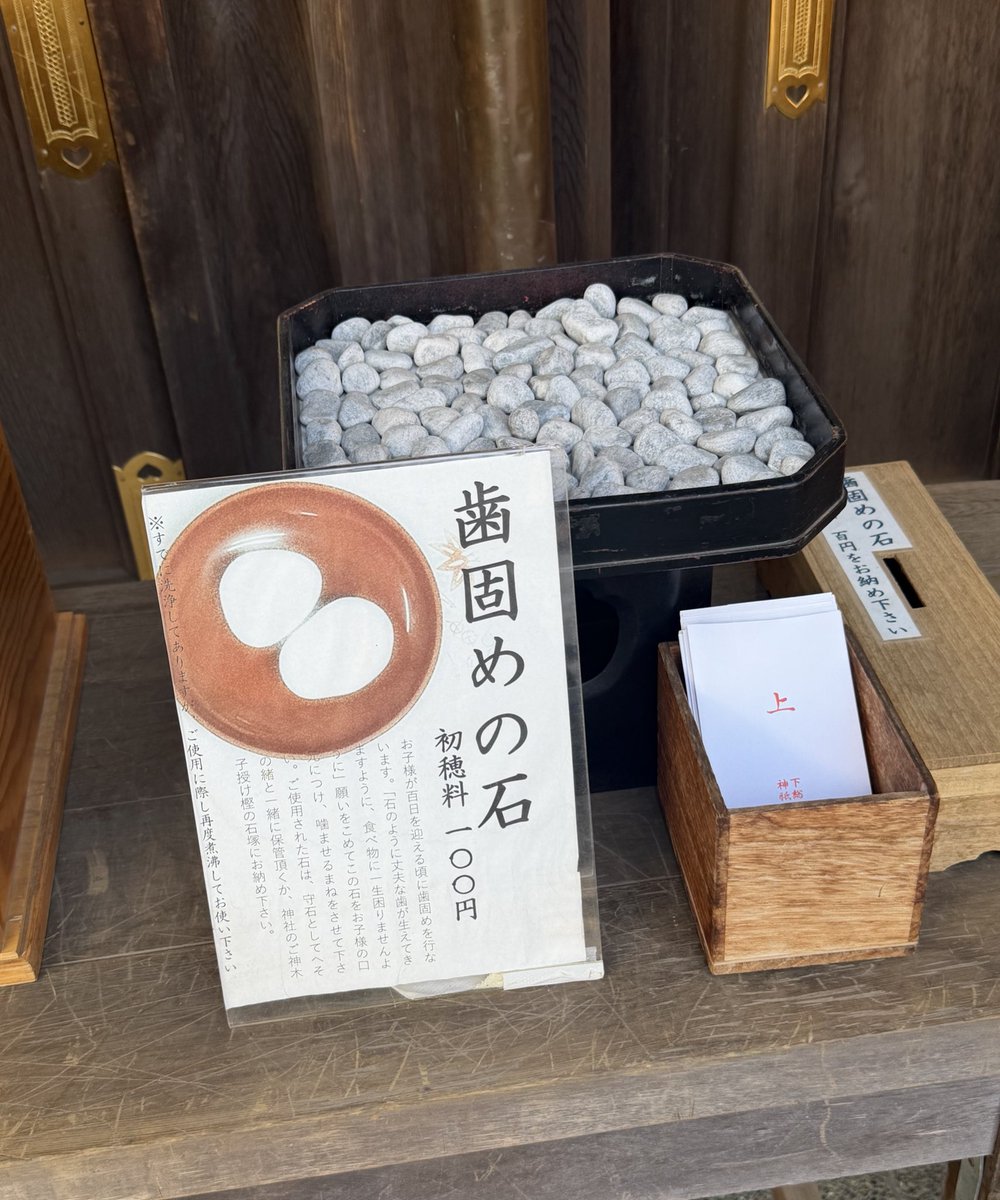 これは…………………()