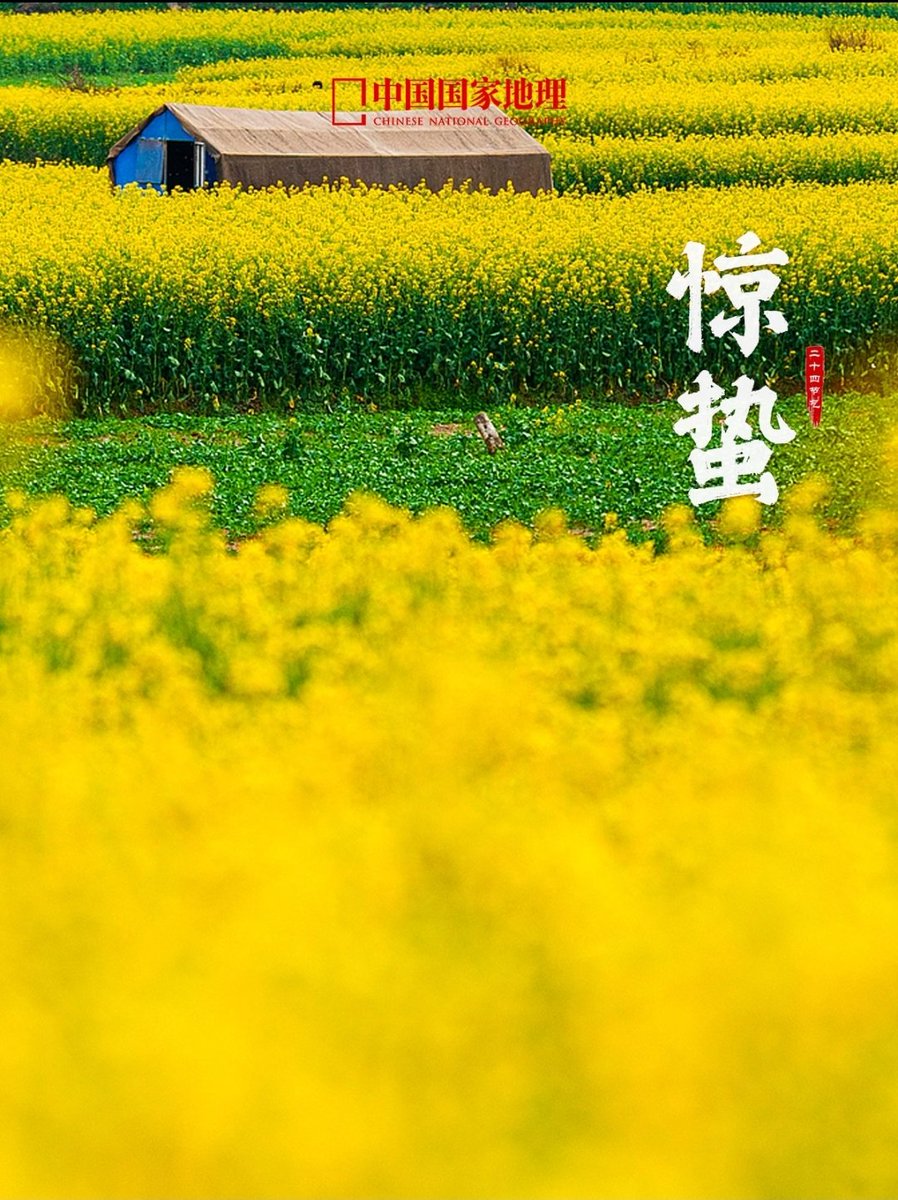 吟游诗人（互fo～ tweet media
