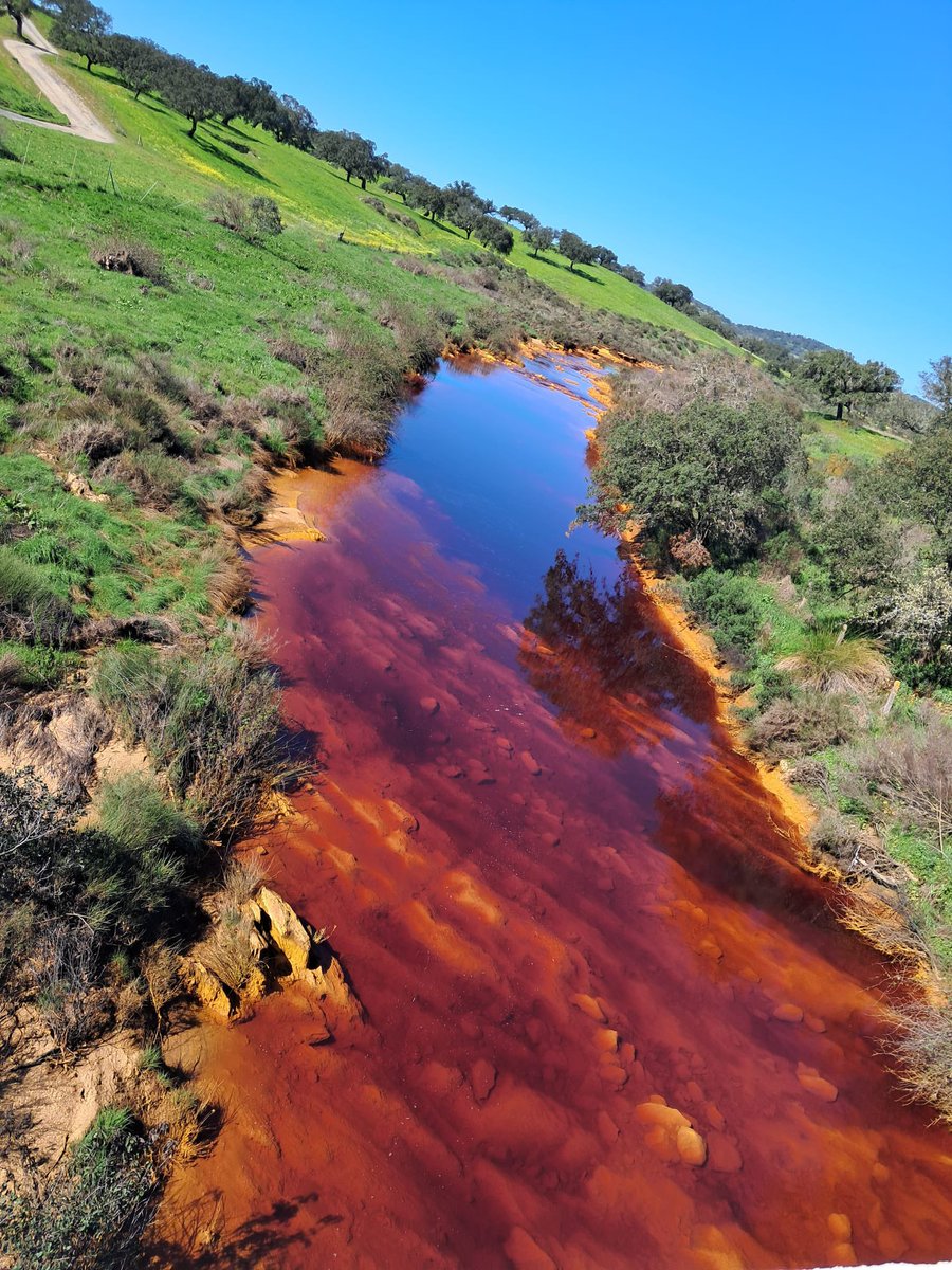 Jesus M. Castillo tweet media