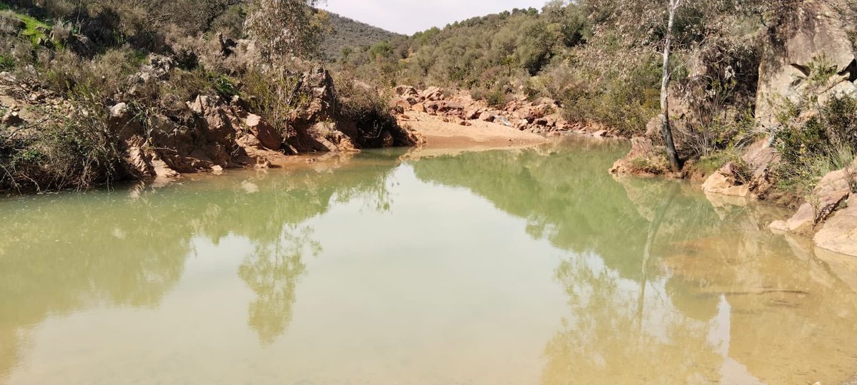 Jesus M. Castillo tweet media