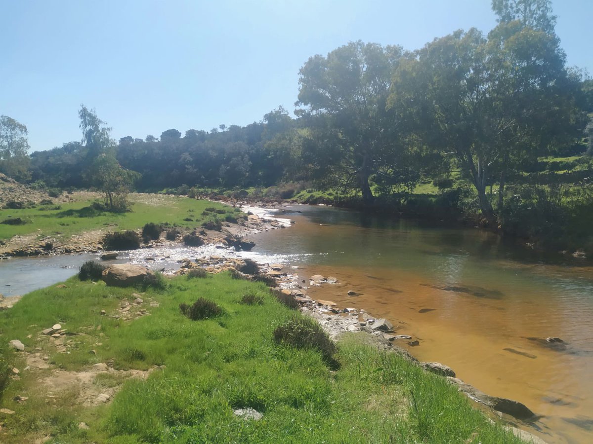 Jesus M. Castillo tweet media