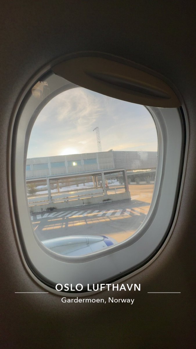 JonnyMackaronny tweet media