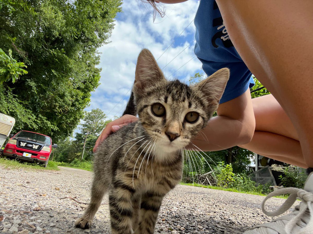 HaleyTakess's tweet photo. look at this little cutie https://t.co/uYxL4GNxax