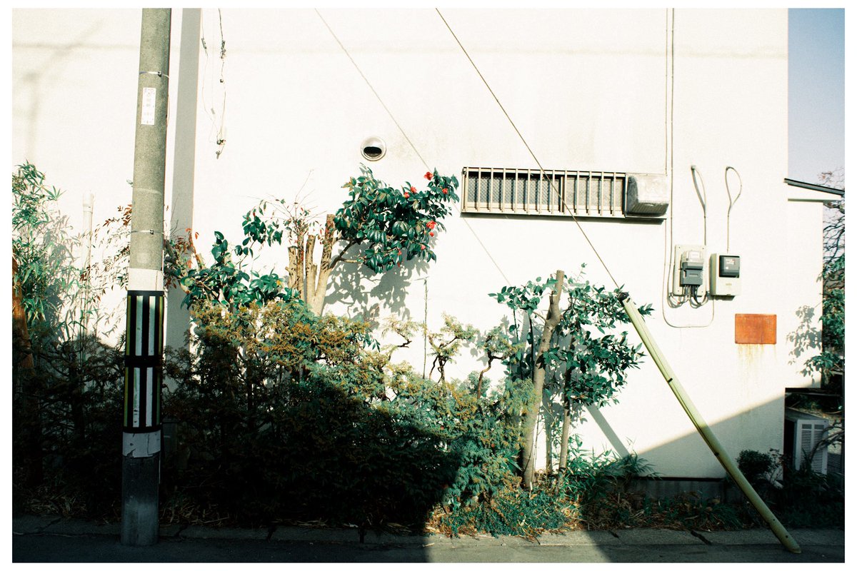 海｜kai tweet media