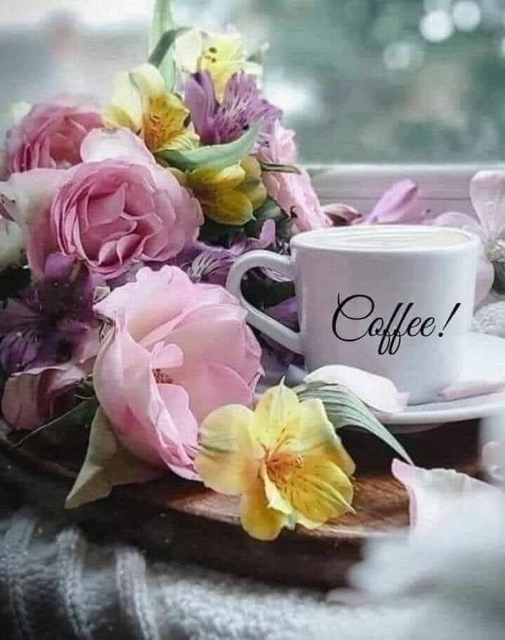 🌺🌼🌿🌼 Ǥ𝓻𝐚zɨa 🌼🌿🌼🌺 tweet media