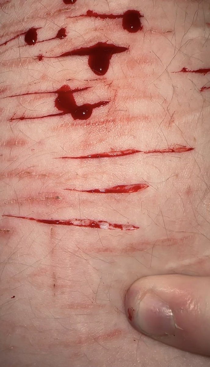 ꒰ 𝚜𝚝𝚊𝚛 ⸝⸝ ♡ྀི ꒱ tweet media