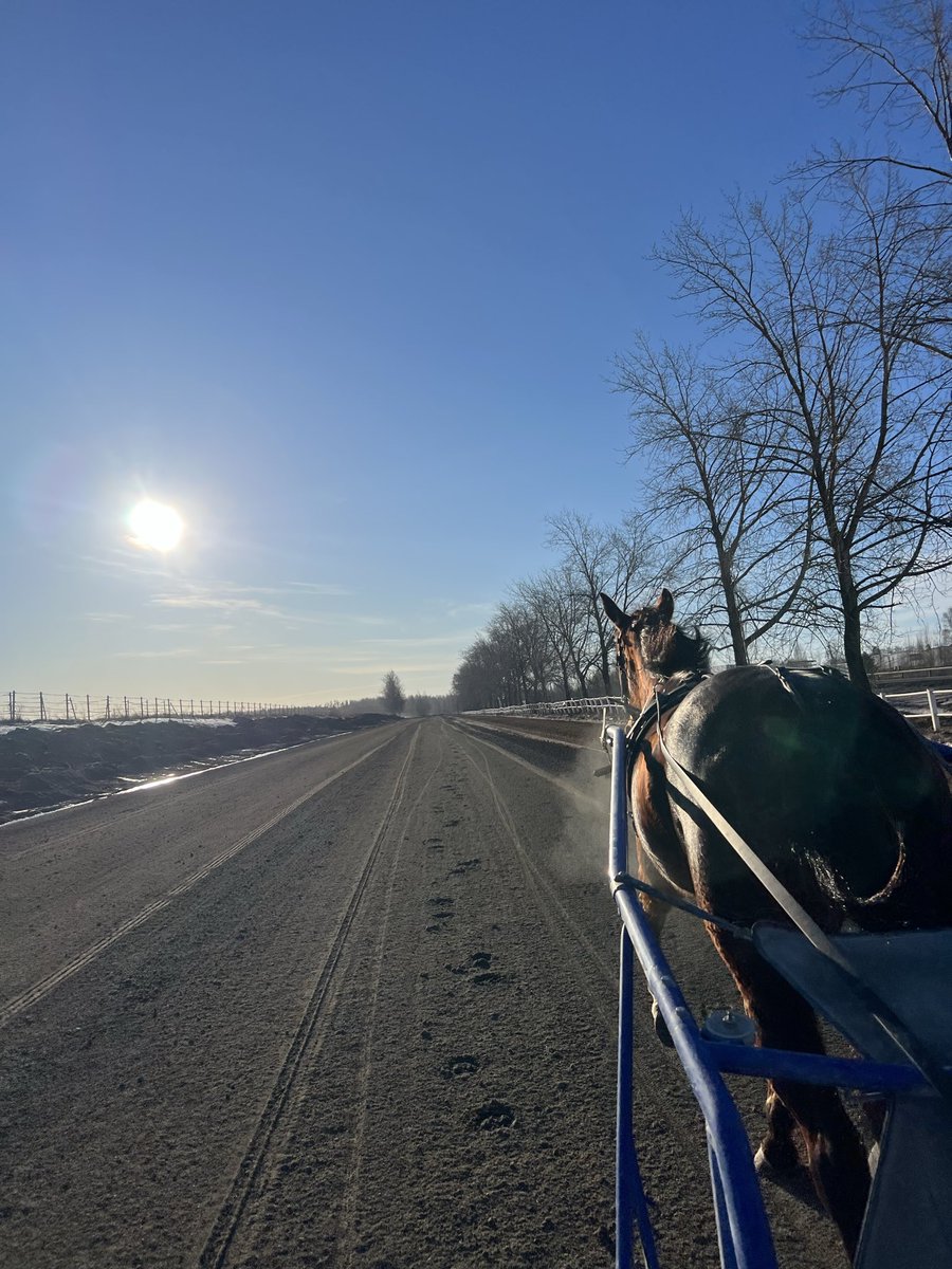 Ising Racing tweet media