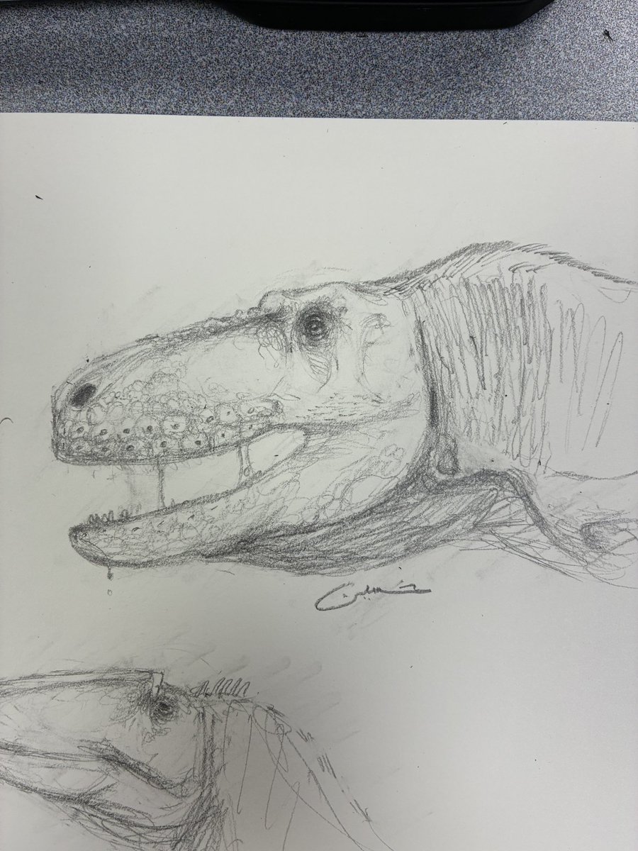 Hussain 🇸🇩 🩷 🇵🇸 tweet media