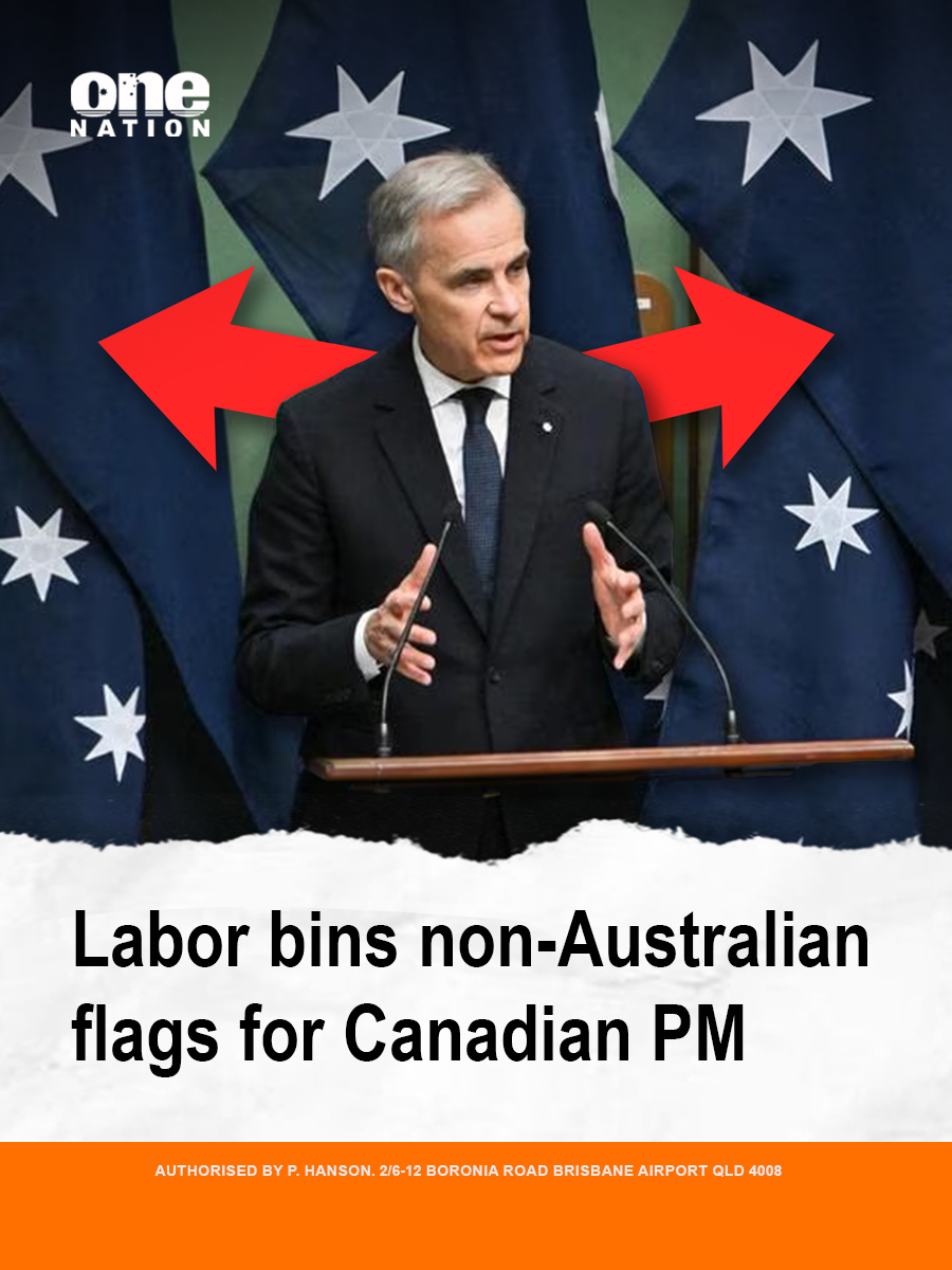 One Nation Australia tweet media