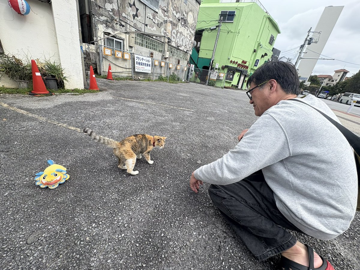 Live Bar FANDANGO (@fandango_sakai) / Posts / X