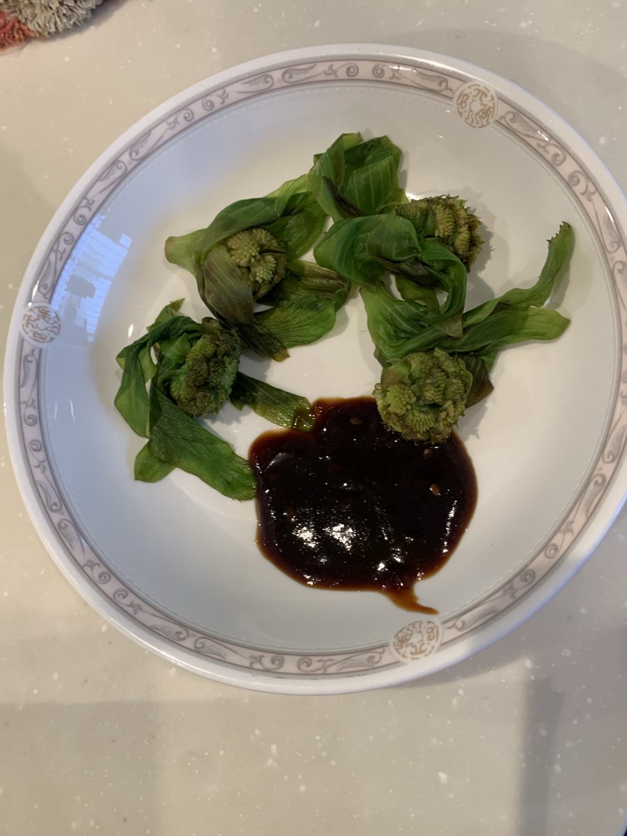 zzigoban's tweet photo. 今年も蕗のとう、採れましたまだ量は少なめ
天ぷら等にして食べた香りも強くもっちり最高
残念だけど今日も強風で危険なためリカンベントは乗らずです。 https://t.co/EYOaa3c2NF