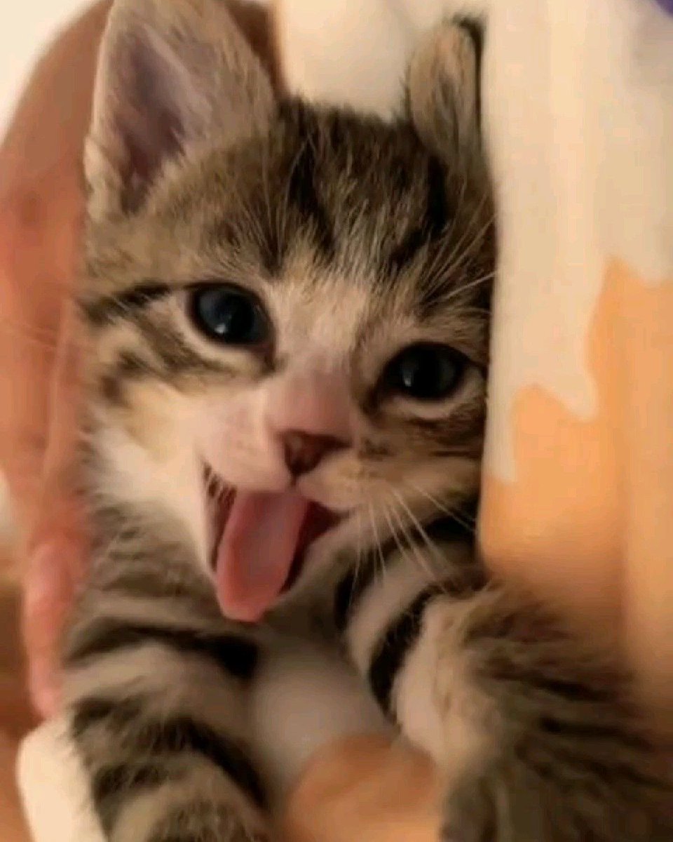 $10 FLASH GIVEAWAY | 1 Person 🚨        

 - Follow with 📷
- Like &amp; Retweet  ❤️
- Drop $SOL Addy 👇
- Mention One Friend 🧍

Winners will be picked in 10 hours⌛️