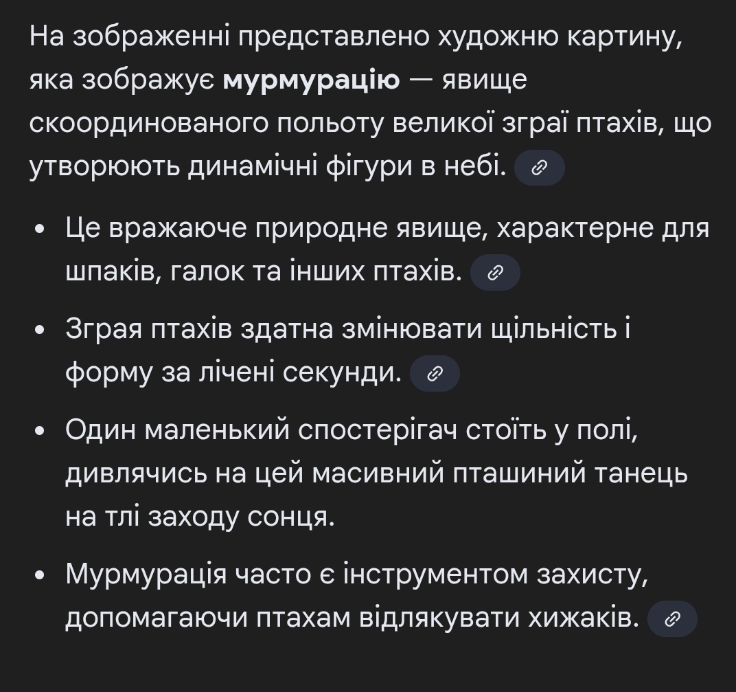 Sveta Shyrkova 🇺🇦 tweet media