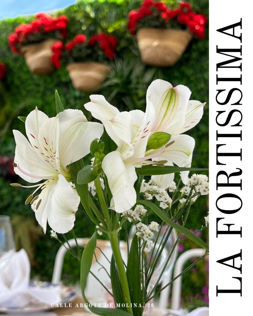 GastroTerraza La Fortissima - Sevilla tweet media