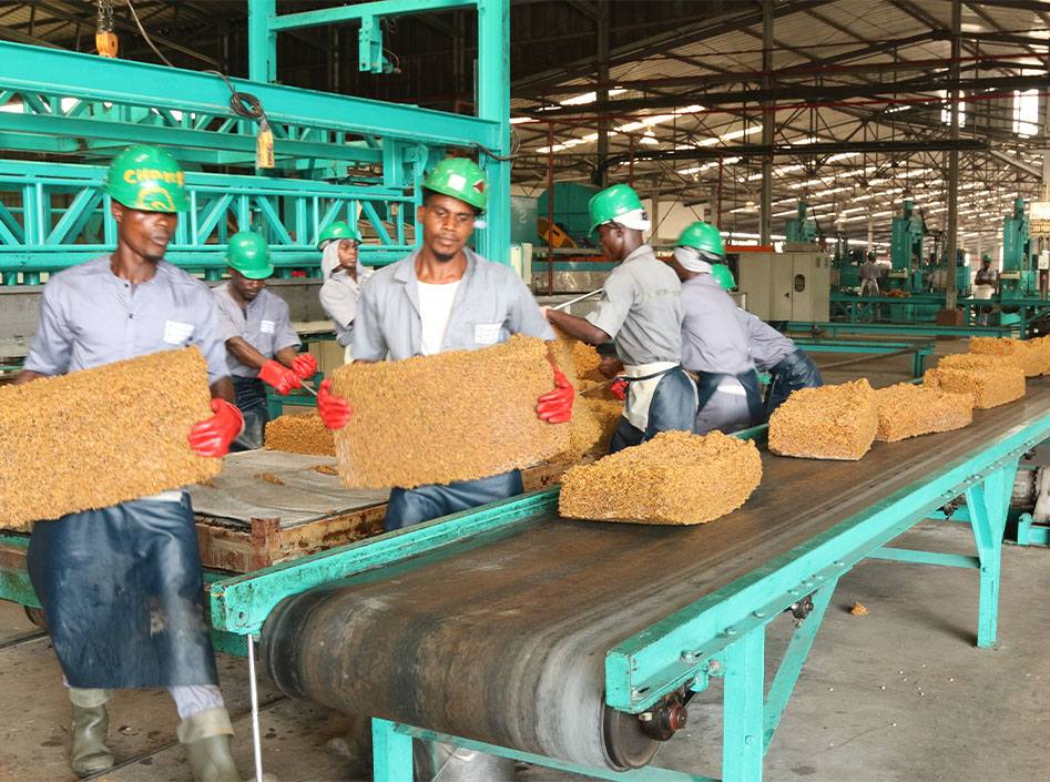 🇨🇮 La Côte d’Ivoire est le 1er producteur de #caoutchouc naturel en #Afrique 🌍 et le 3e mondial, avec 1,7M de tonnes produites en 2023-2024. #Économie #AgroIndustrie