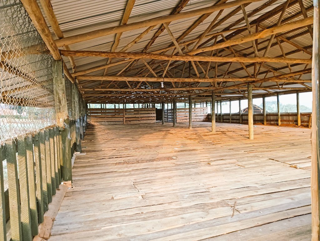 SangwaSifa's tweet photo. Affordable designed structure plan for 600 goats with quarters and store. 
Stop dreaming of a big farm, start building one. https://t.co/ZDZqWze3rH