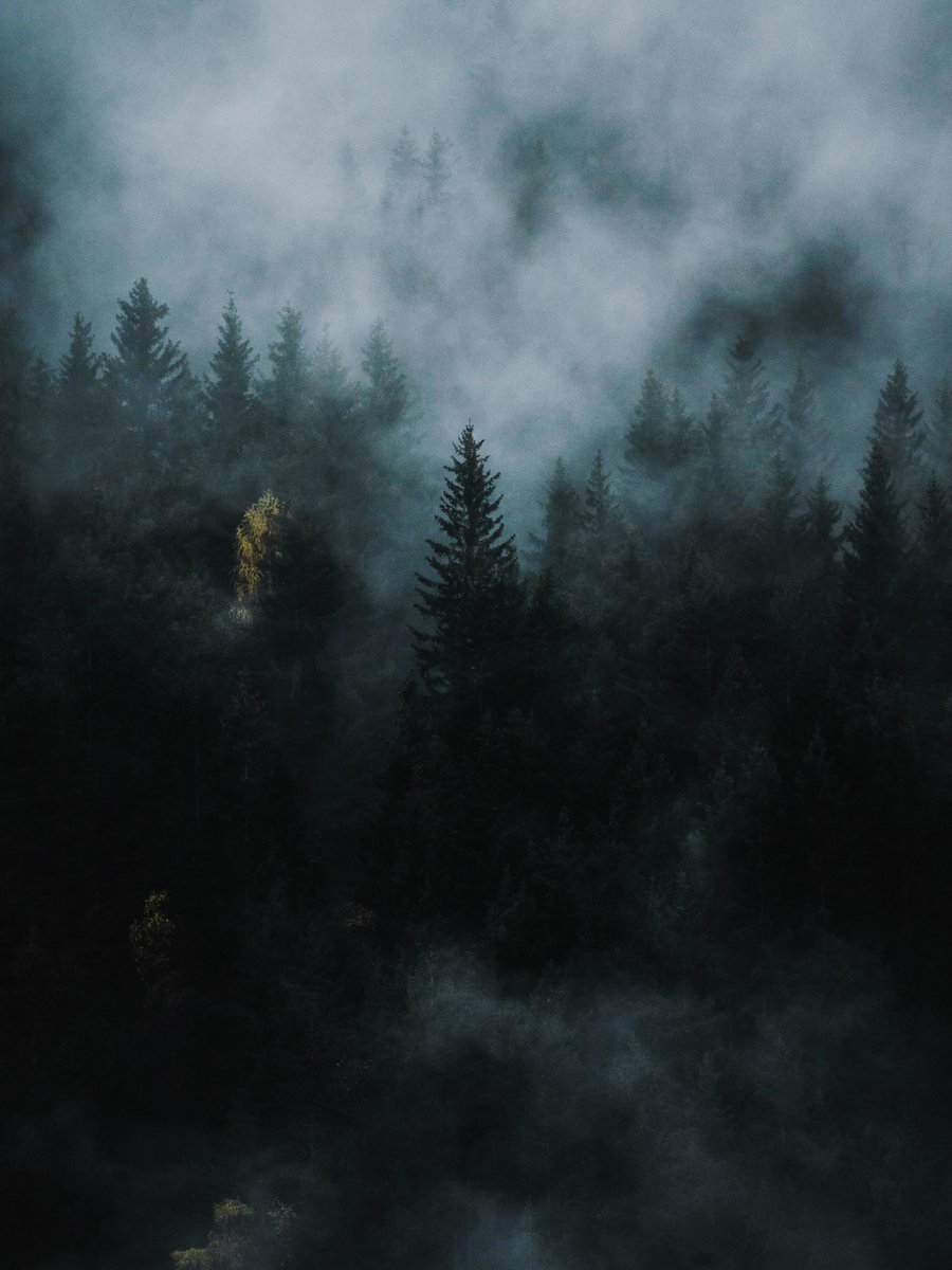 World Click (@worldclick56) on Twitter photo 