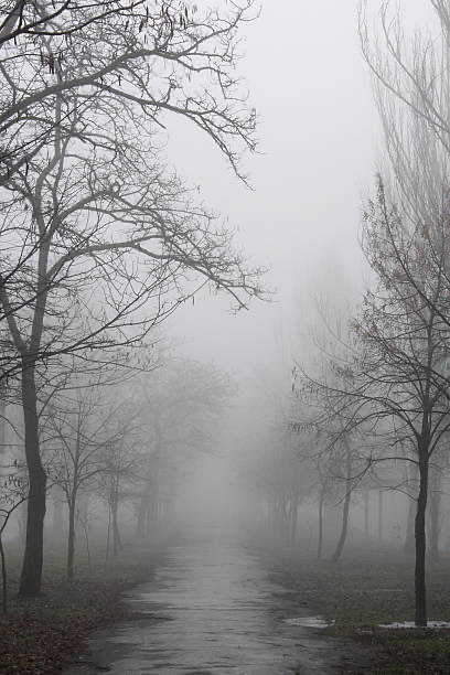 Fairfield Community Schools tweet media