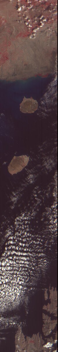 Statist91555987's tweet photo. ISRO Resourcesat 2A LISS-IV SMX satellite image showing Strait of Hormuz on 5 March 2026

Image Resolution: 58 meter/pixel

#ISRO #Resourcesat #Iran #USIranWar #India #SatelliteImage #StraitOfHormuz #Israel #USA https://t.co/pBl67RFJS6