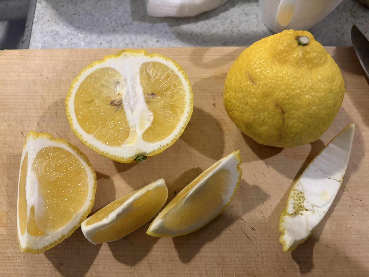 ちくわ@ちくわ輪業 (@chikuwa_wheel) / Posts / X