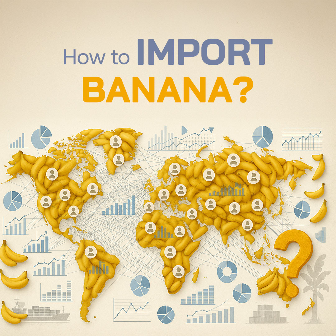 You can check out our blog post titled “How to Import Banana?” by clicking the link: tradeatlas.com/en/blog/how-to…

#import #export #foreigntrade #banana