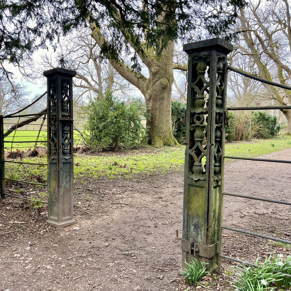 Matthew King tweet media