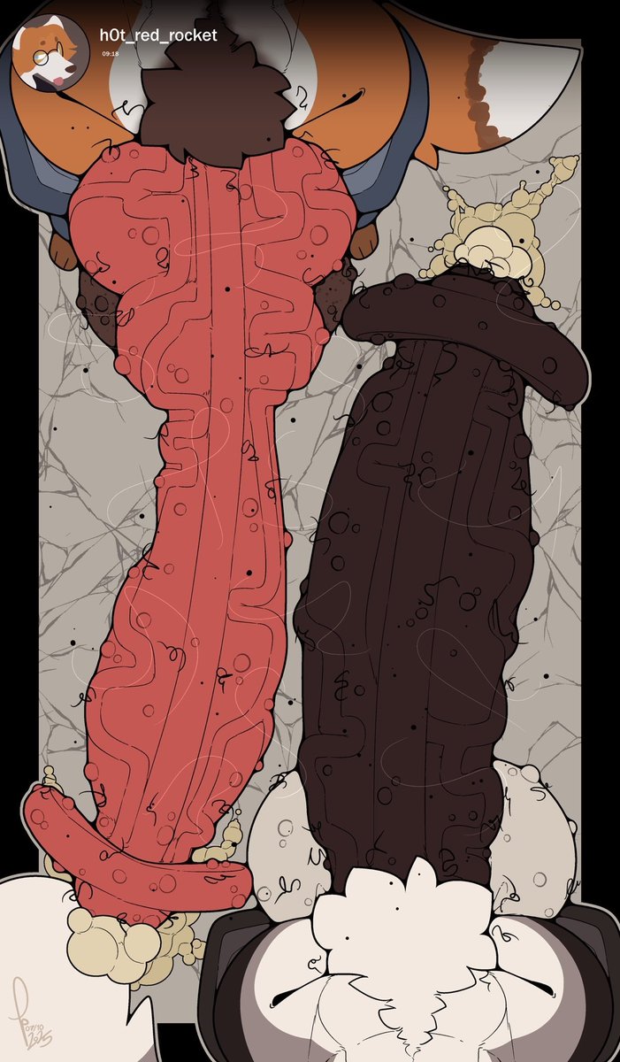 Bark Bark‼️ tweet media