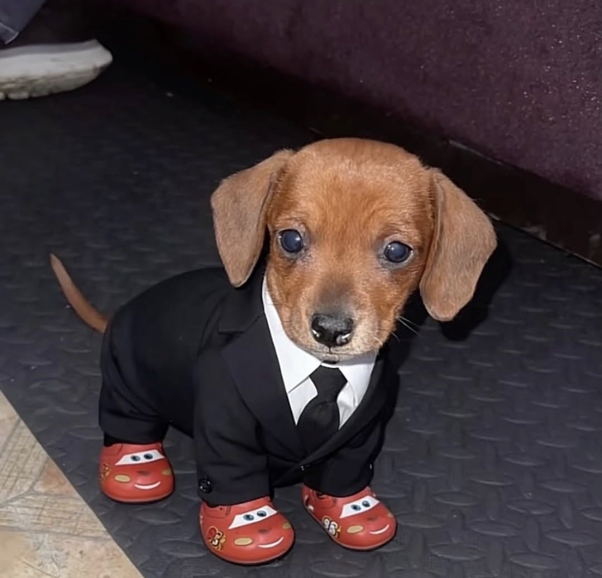 MannyCraft tweet media