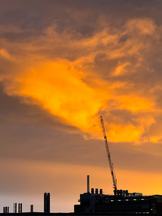 Jocaccia tweet media