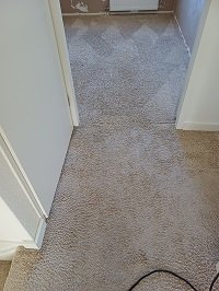 TapijtSCHOON's tweet photo. Met enige regelmaat te gast in Spijkenisse.
Woning gekocht maar in de woning ligt tapijt wat er nog goed uitzag. Daarom professioneel laten reinigen.
Ook interesse? Telefoon 0181-649487. #tapijtreiniging #hygiene https://t.co/Y5xRlYpCAb