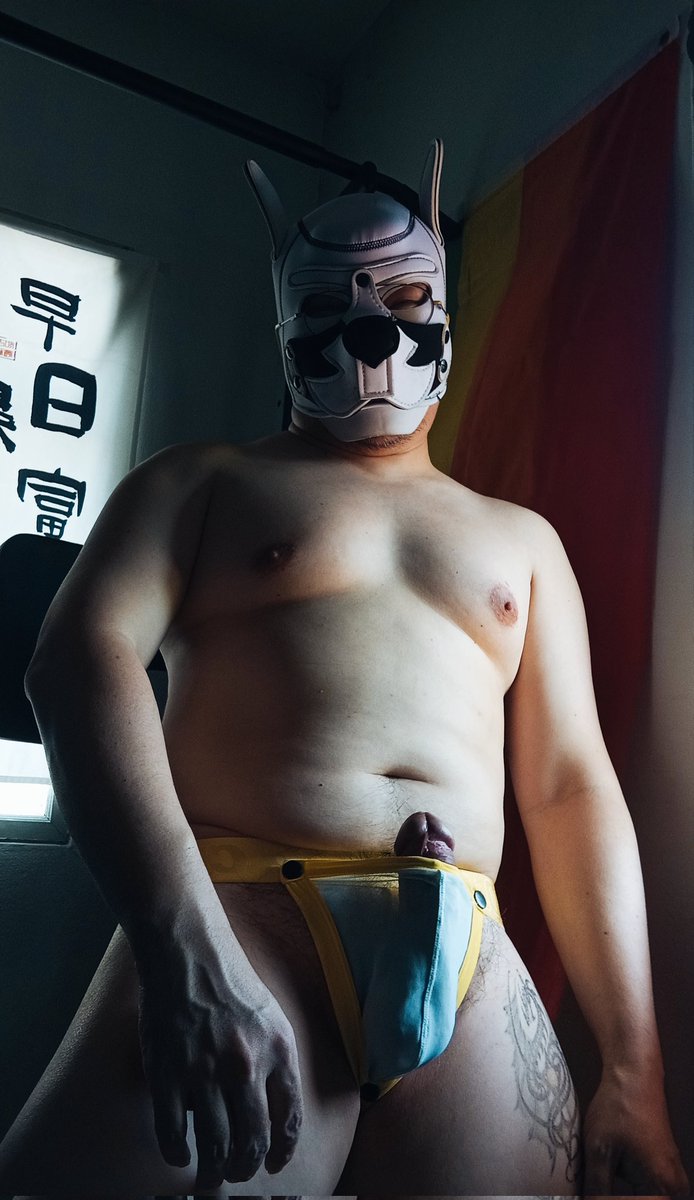 พ่อแมวอ้วน tweet media