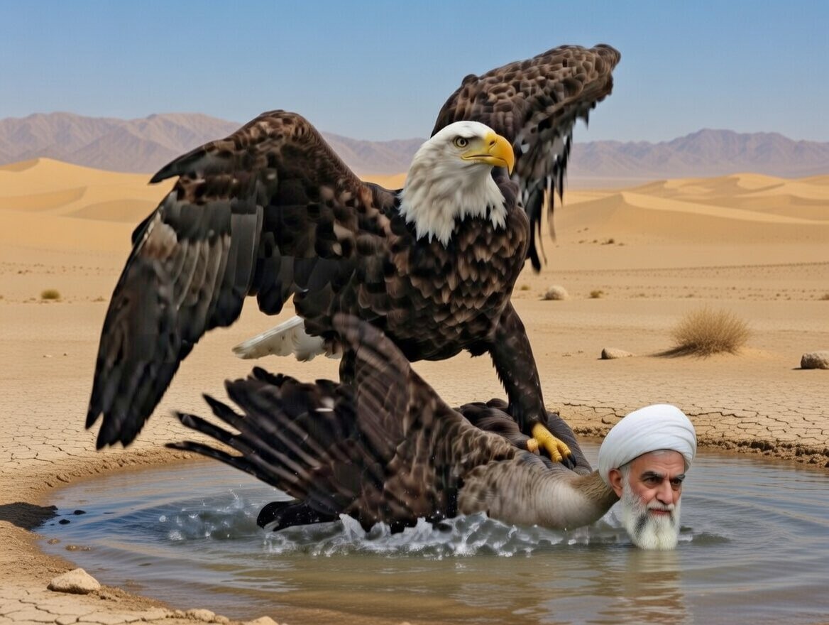 Sombrero tweet media