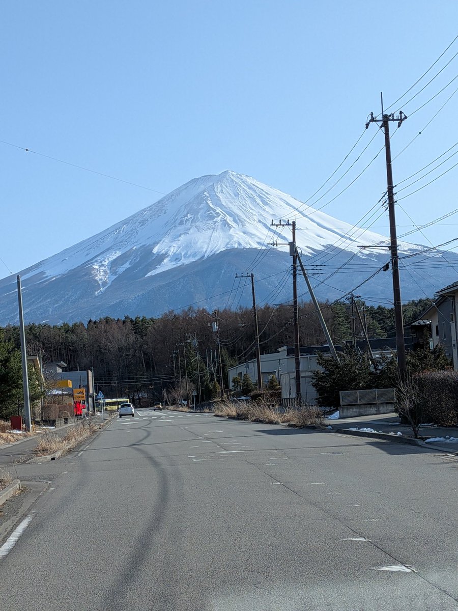 今現在ですが河口湖の横で工事やってるんだけど色んな動物に会いますよ。